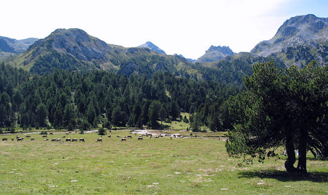 Valle Santa Maria am Lukmanierpass