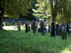 Jdischer Friedhof bei Gailingen
