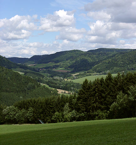 Blick ins Krottenbachtal (Schwarzwald)