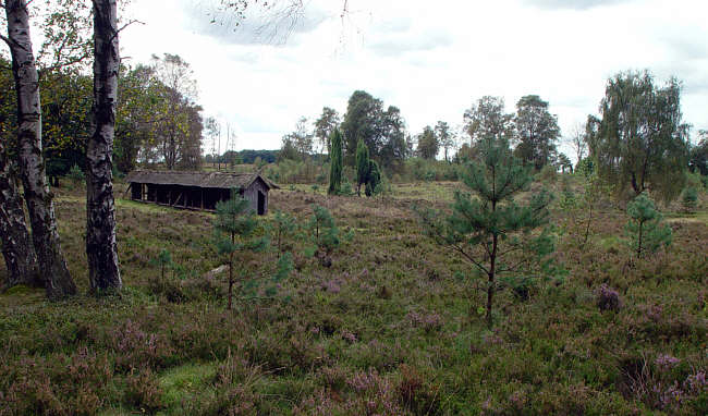 Lneburger Heide 