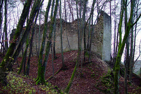 Ruine der Tudoburg