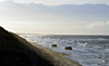 Strand bei Veders Klit (Dänemark)